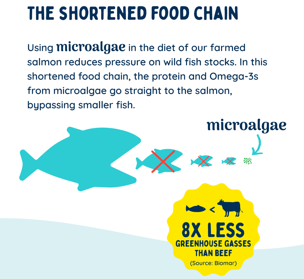 Blue Circle Foods