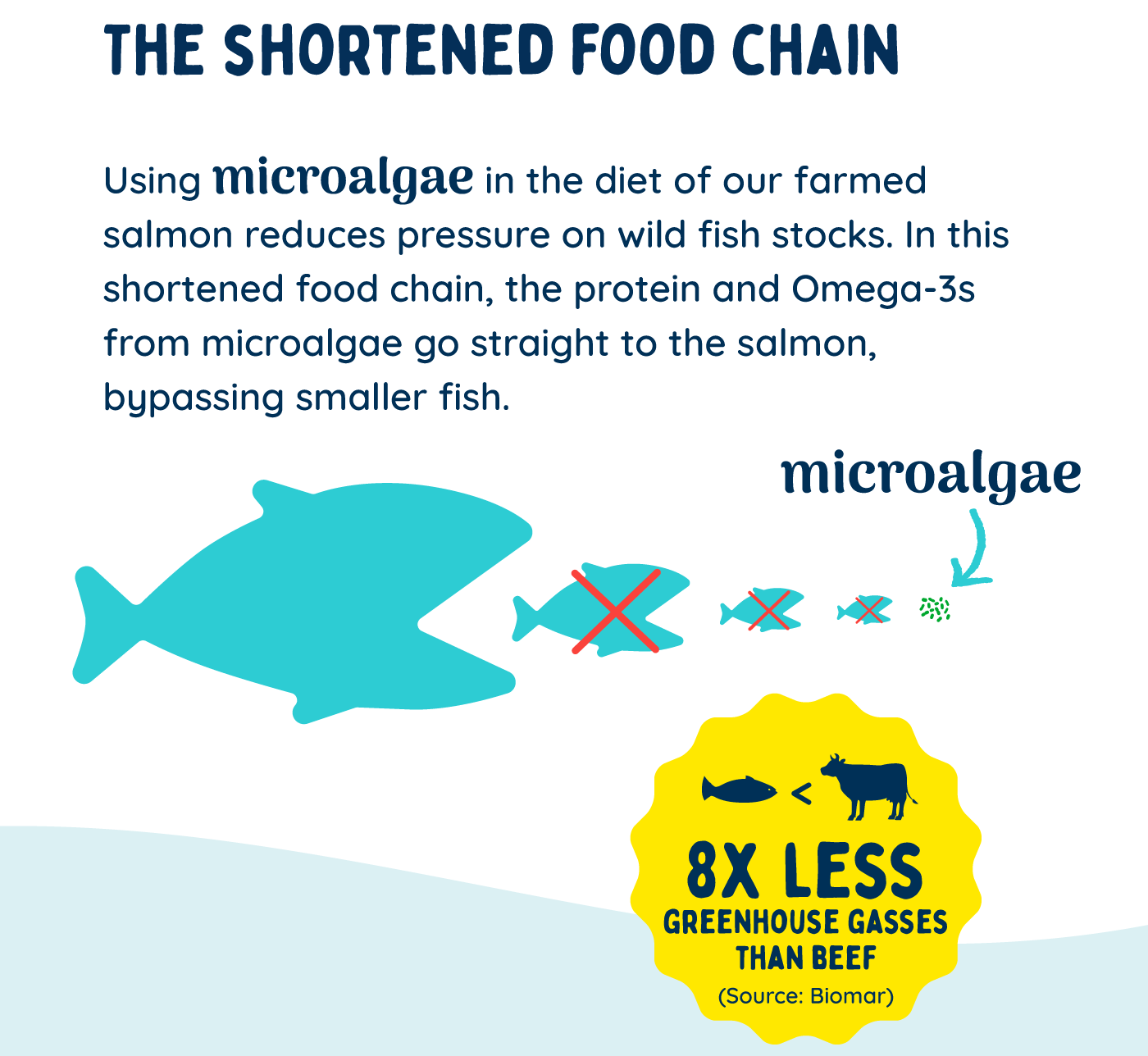 Blue Circle Foods