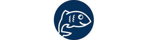 happy salmon 