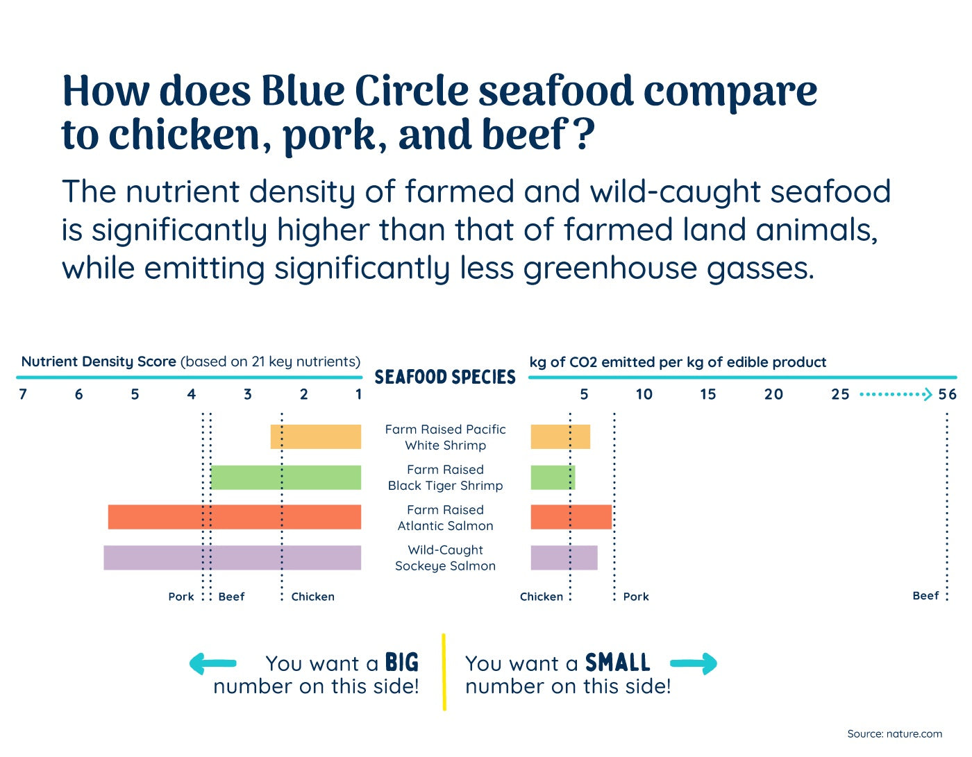 Blue Circle Foods