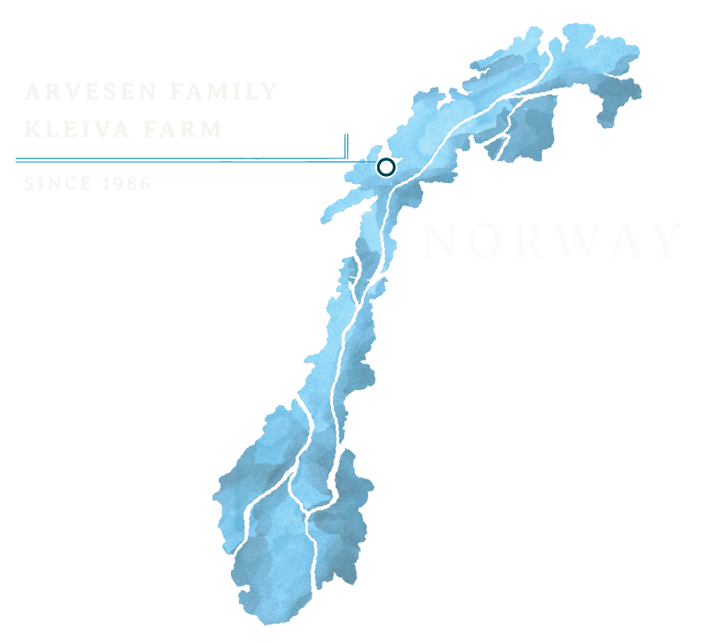 Norway map