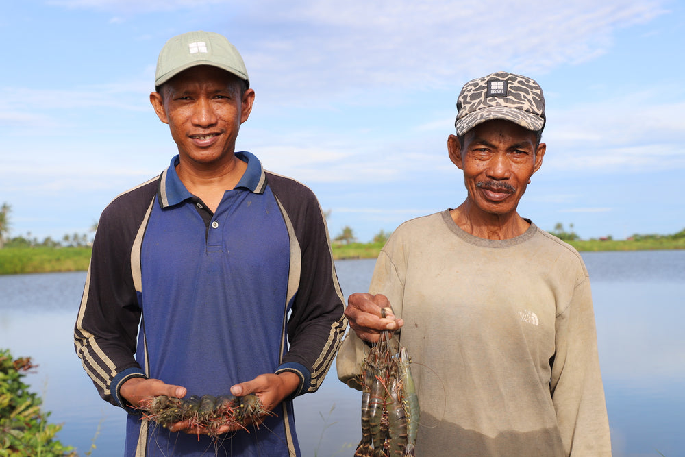 shrimp farmers 